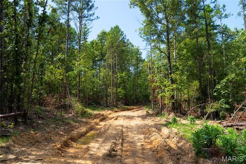 000 Nn Highway, Grandin, MO, 63943 | Card Image