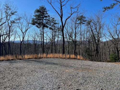 673 Willard Mountain Rd, Blue Ridge, GA, 30513 | Card Image