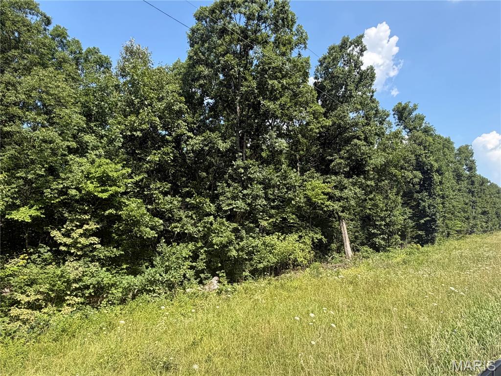 Land in Monroe City 5