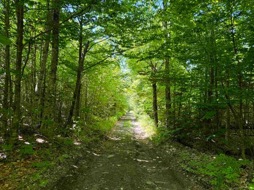0 Georges Boulevard, East Haven, VT, 05837 | Card Image
