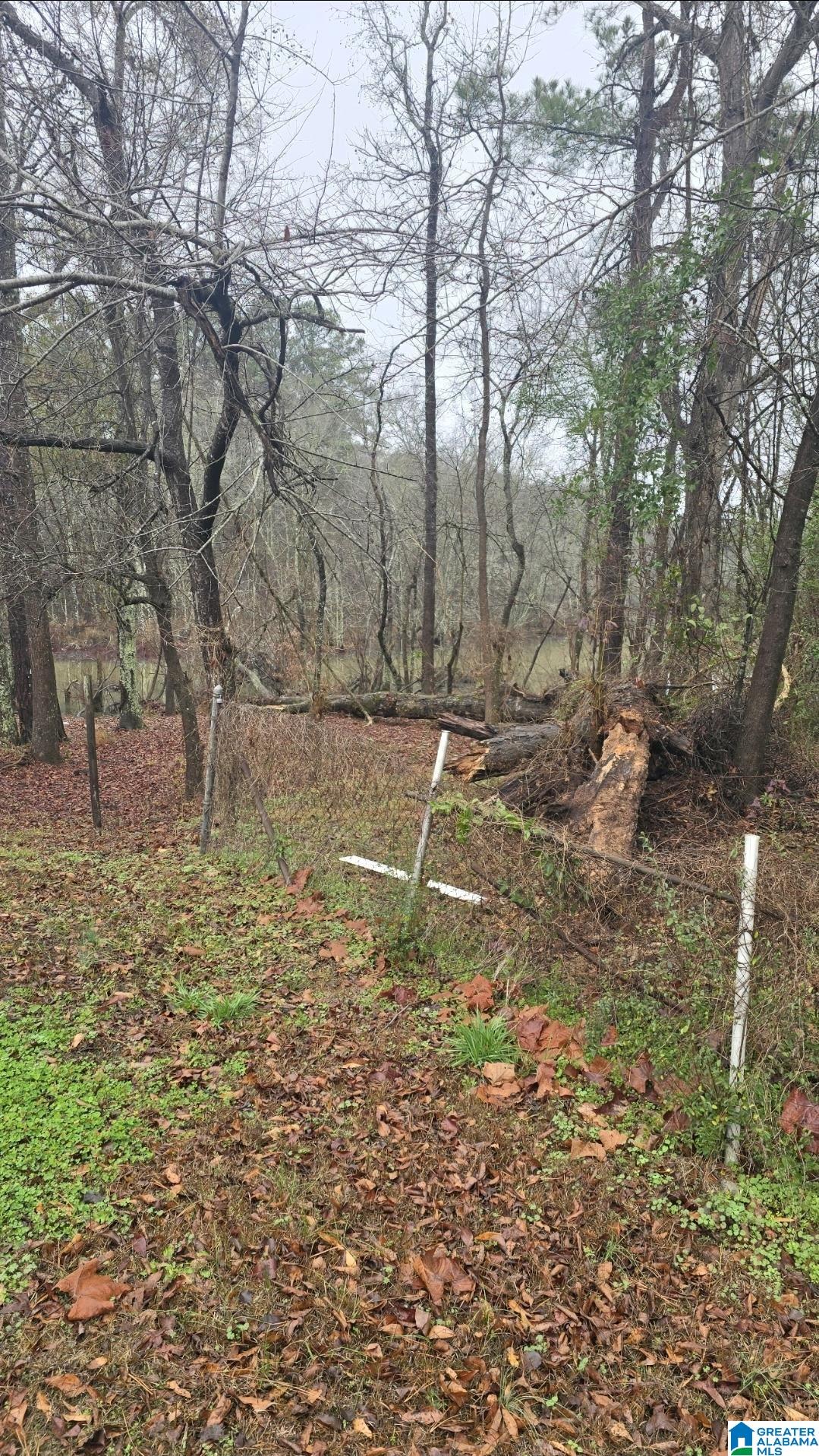 Land in HARPERSVILLE 3