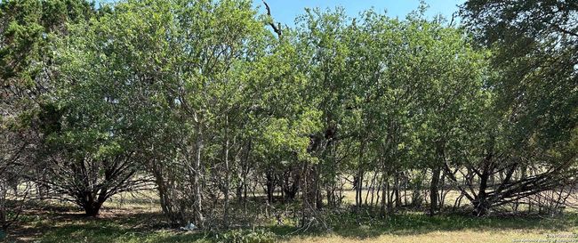 1619 Stringtown Rd, Home with 0 bedrooms, 0 bathrooms and null parking in Medina TX | Image 6