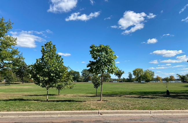 Views of the lake! | Image 31