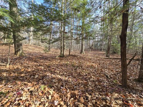 lot-2-217 Charlestown Road, Acworth, NH, 03601 | Card Image