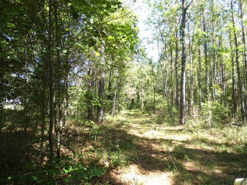 1310 Piney Woods Rd, MONTICELLO, FL, 32344-6082 | Card Image