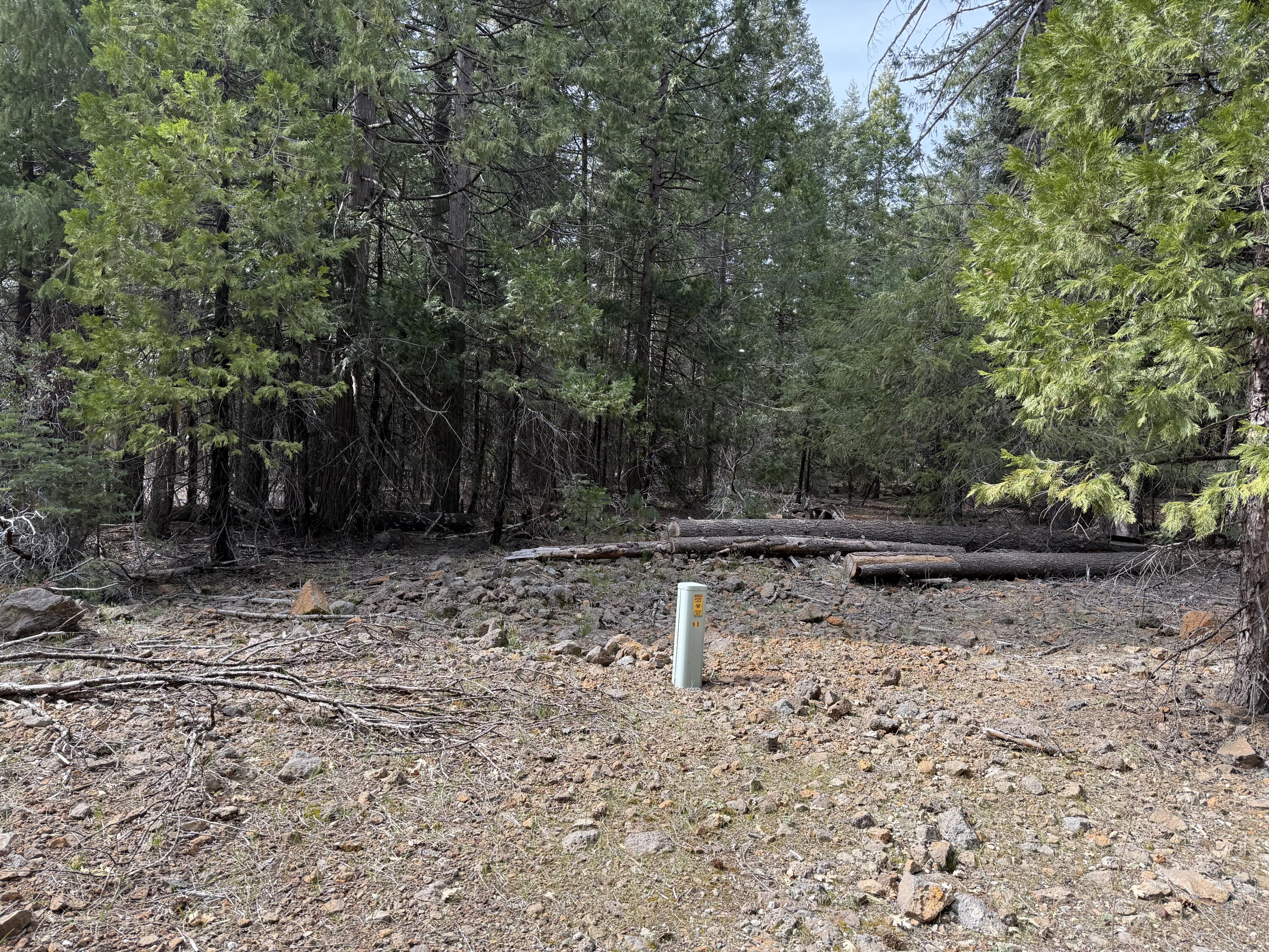 Land in Shingletown 5