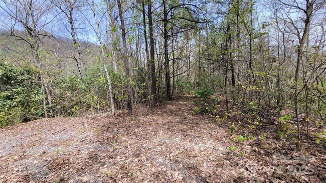 27 - 27 Lacy Fern Rdg, Home with 0 bedrooms, 0 bathrooms and null parking in Sylva NC | Image 5
