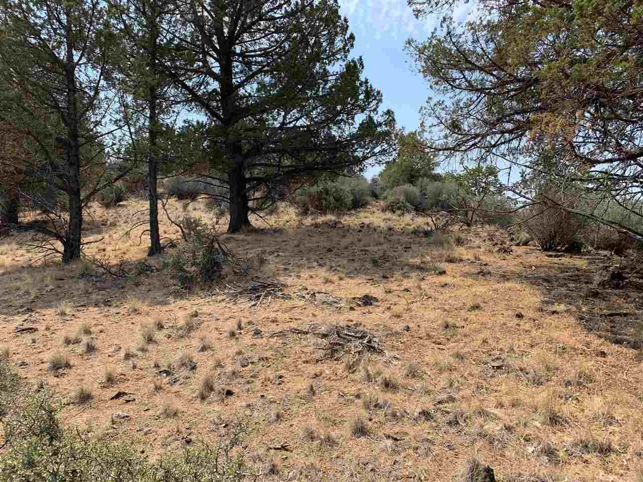 Land in Montague 2