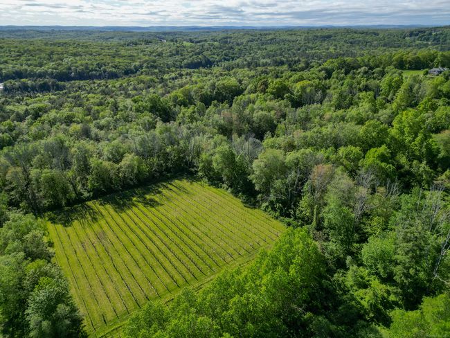 125 Woodchuck Ln, House other with 3 bedrooms, 3 bathrooms and null parking in Harwinton CT | Image 30
