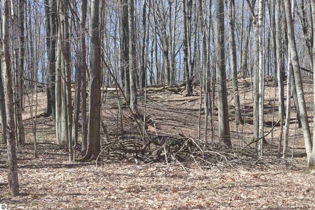 lot 22 Crystal Ridge Dr, Home with 0 bedrooms, 0 bathrooms and null parking in Beulah MI | Image 6