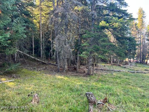 NKA Happy Valley Ln, Saint Maries, ID, 83861 | Card Image