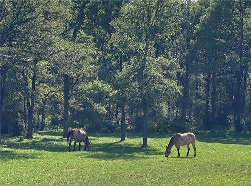 1985 County Road 309, Lexington, TX, 78947-5234 | Card Image