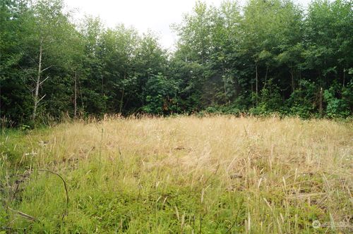 0 Off of Wynooche Wishkah Rd, Montesano, WA, 98563 | Card Image