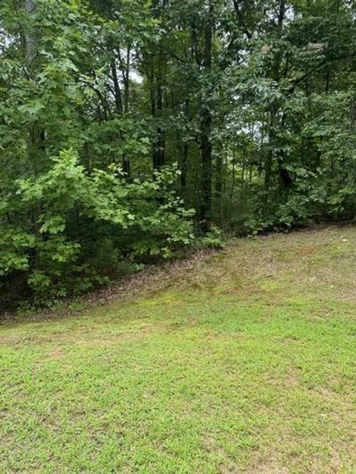 LOT 5 Harris Creek Dr, Ellijay, GA, 30540-7803 | Card Image
