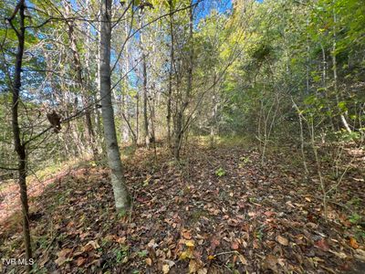 000 Tbd Fishers Creek Road, Home with 0 bedrooms, 0 bathrooms and null parking in Rogersville TN | Image 3