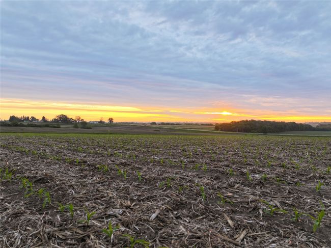 00 Easton Ave, Home with 0 bedrooms, 0 bathrooms and null parking in Plainfield IA | Image 9