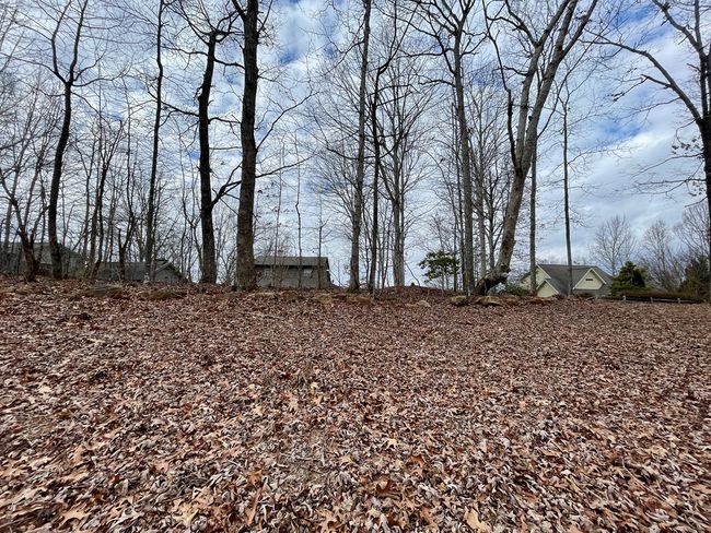 #114 Eagles Vw, Home with 0 bedrooms, 0 bathrooms and null parking in Hayesville NC | Image 11