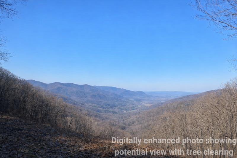Land in Bryson City 3