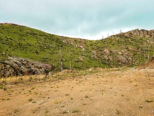 151 Black Mountain Ct, Livermore, CO, 80536 | Card Image