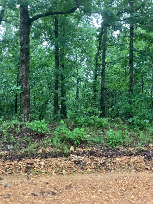 000 Newman Trl, Williford, AR, 72482 | Card Image