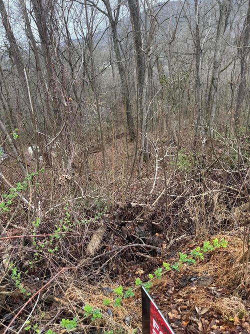 Lot 65 Grandview Way, Cosby, TN, 37722 | Card Image