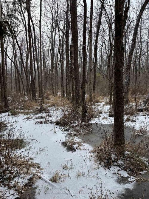 0 Wolford Centre Rd, Merrickville, ON, K0G1N0 | Card Image