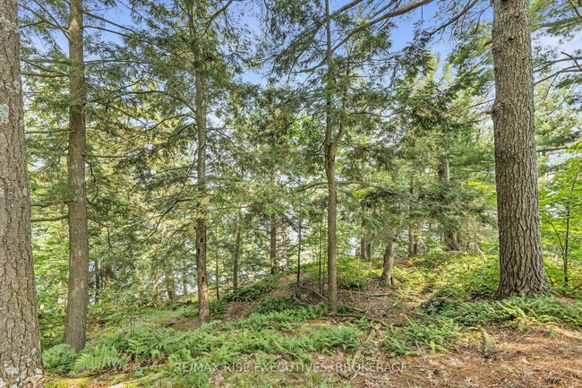 1326 Ridge Lane, House other with 2 bedrooms, 1 bathrooms and 2 parking in Seeleys Bay ON | Image 21