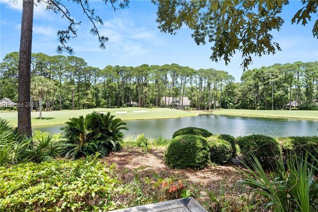5 Pheasant Run Ct, House other with 3 bedrooms, 3 bathrooms and null parking in Hilton Head Island SC | Image 36