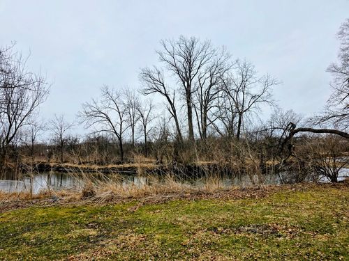 Lot 207 N Cedar Rd, New Lenox, IL, 60451 | Card Image