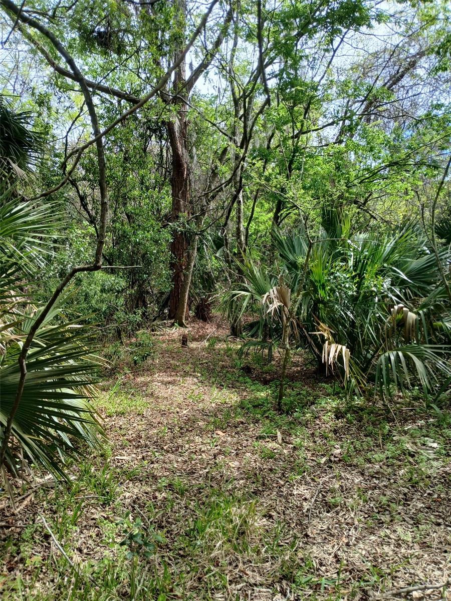 Land in DELAND 5