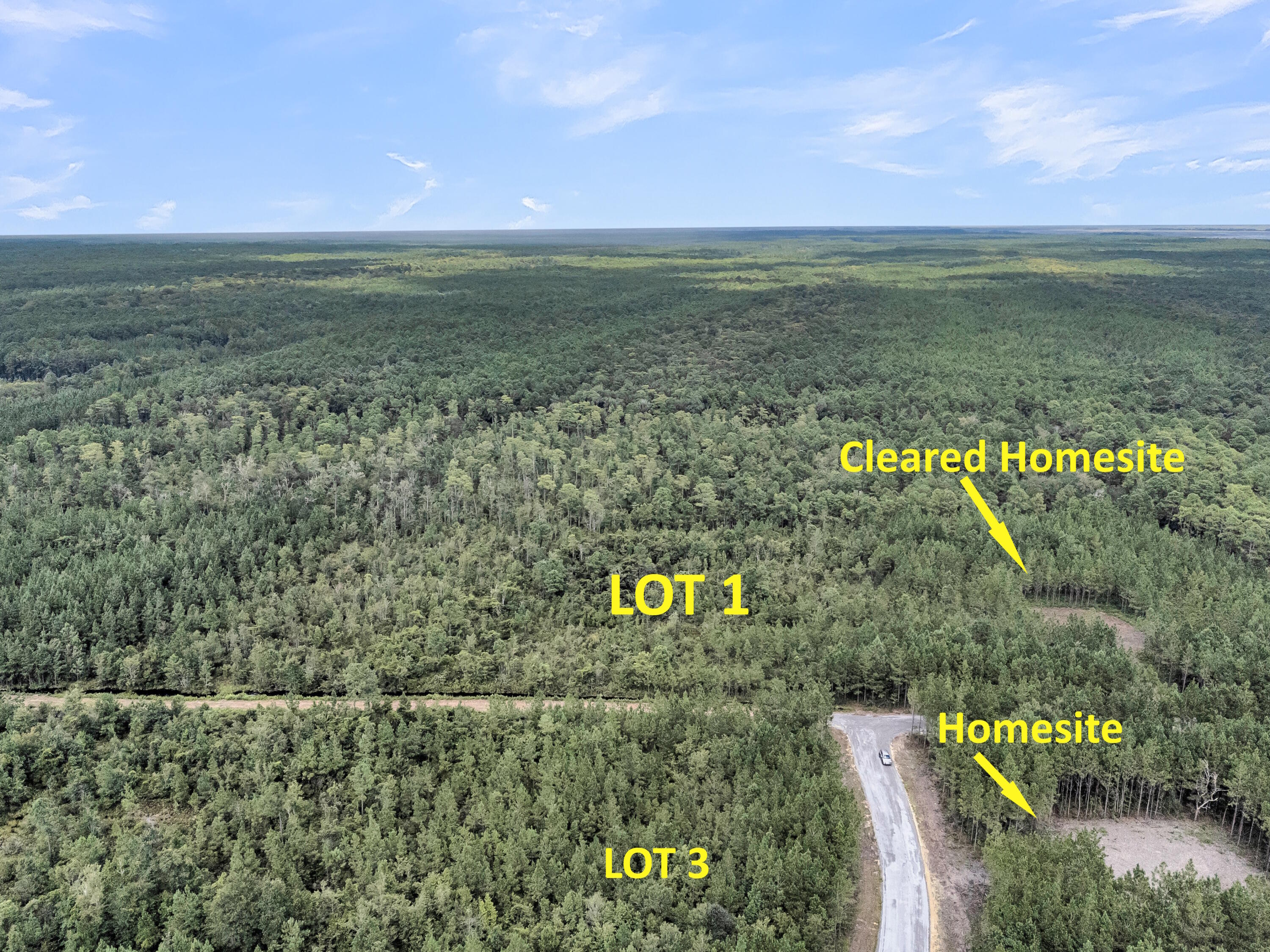 Land in McClellanville 5