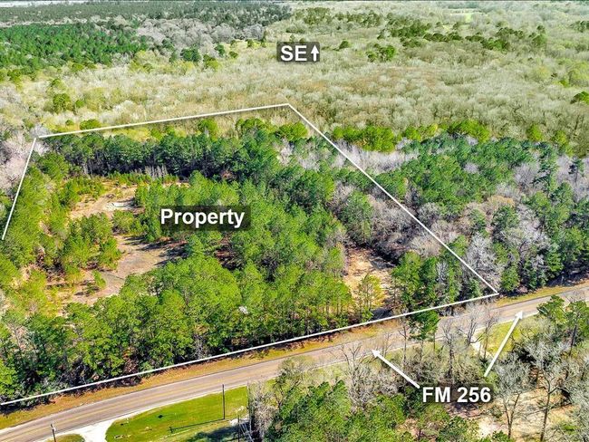This photo shows a large, wooded property bordered by trees, with clear boundaries marked. The land is accessible via FM 256, offering a natural setting ideal for privacy and development potential. | Image 7