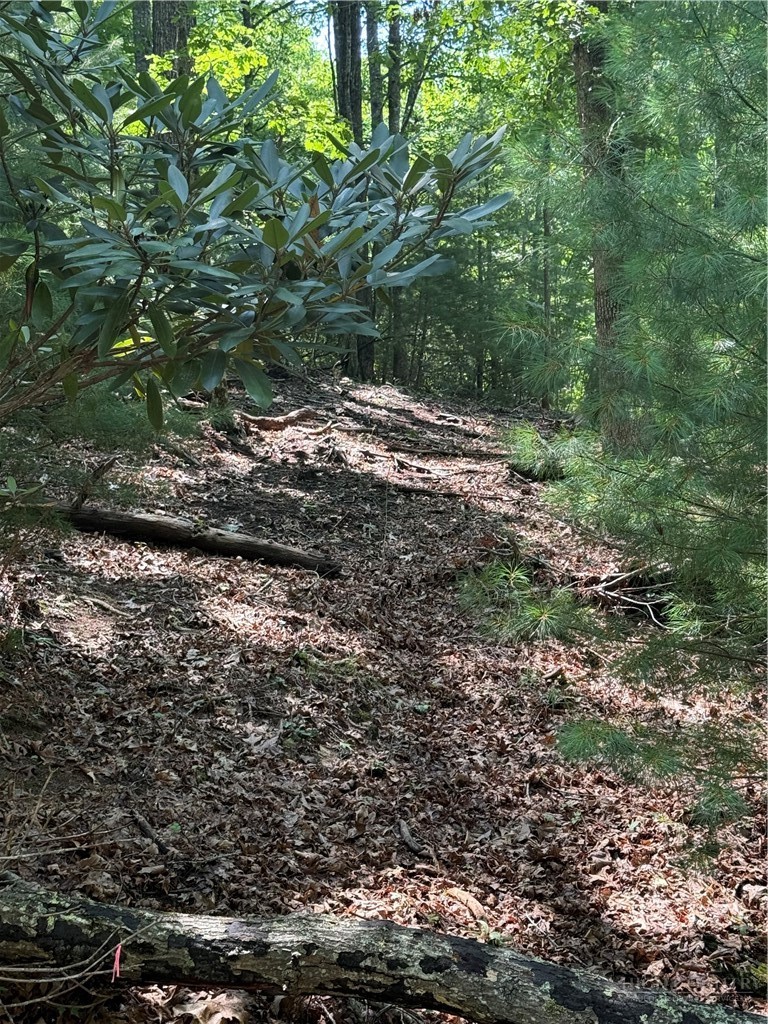 Land in West Jefferson 5