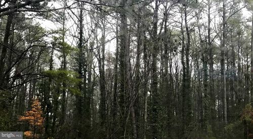 215 Lessin Dr, LUSBY, MD, 20657 | Card Image