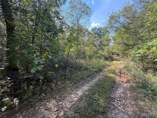 19450 Private Drive 6536, Beulah, MO, 65436-8264 | Card Image