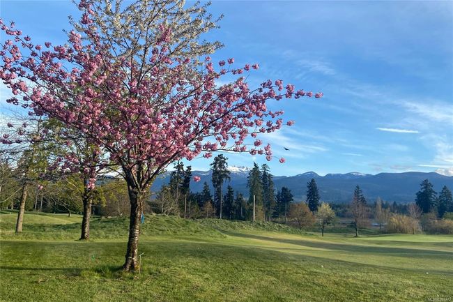 2380 Fowler Rd, House other with 3 bedrooms, 2 bathrooms and 8 parking in Qualicum Beach BC | Image 59