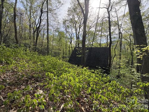 999999 Harwood Road, Barnardsville, NC, 28709 | Card Image