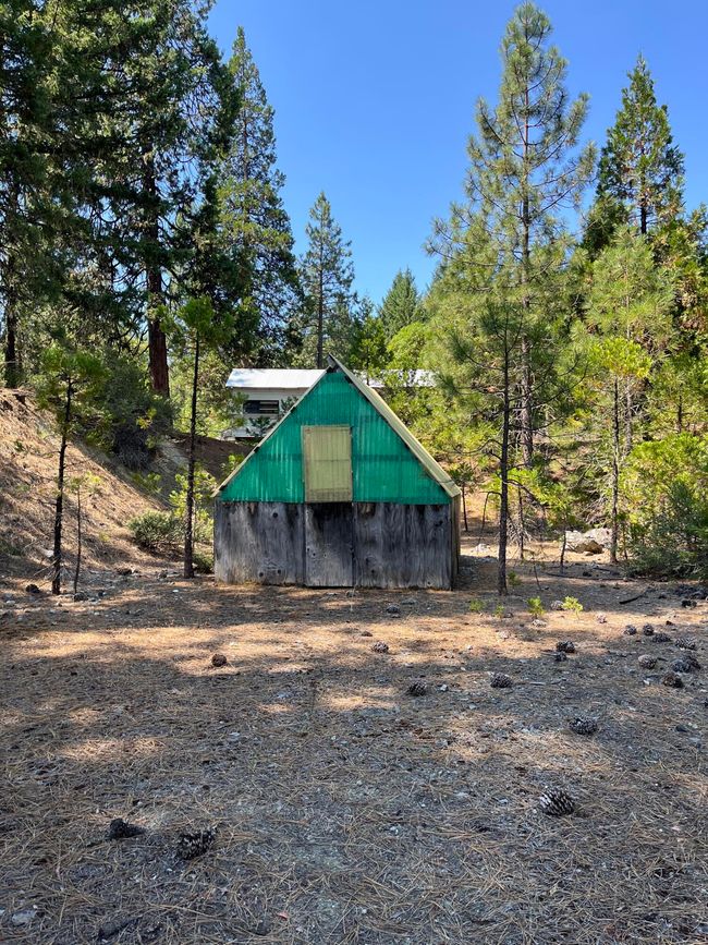 little greenhouse | Image 32