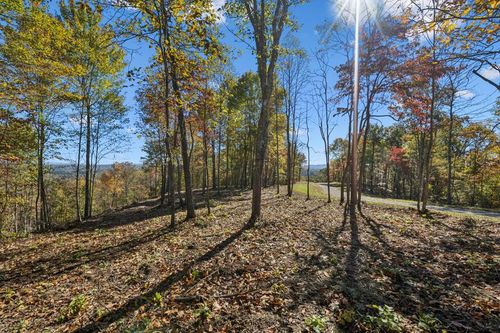 Tract 3 Off Of Sheep Ranch Road, Robbins, TN, 37852 | Card Image