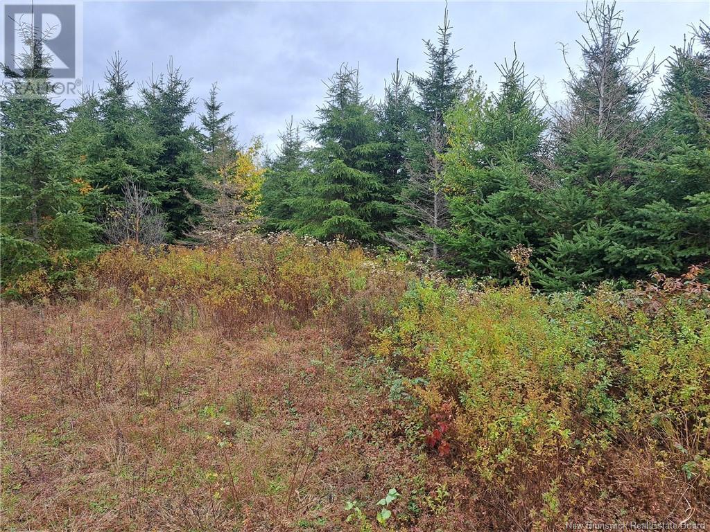 150 Back Settlement Rd, For Sale in Upperton Zoocasa