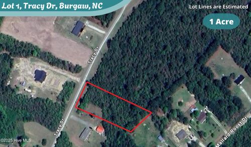 1 Tracy Dr, Burgaw, NC, 28425-6702 | Card Image