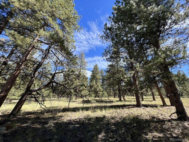 82 Kiowa Cir, Home with 0 bedrooms, 0 bathrooms and null parking in Westcliffe CO | Image 25
