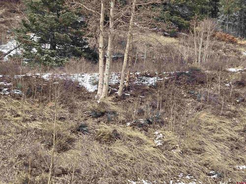 2 Balleroy, Fort Garland, CO, 81133 | Card Image