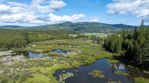 3180 Browns Meadow Road, Kila, MT, 59920 | Card Image