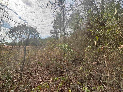 Parcel A Wiggum Rd &Amp; St James Rd, cochran, GA, 31014 | Card Image