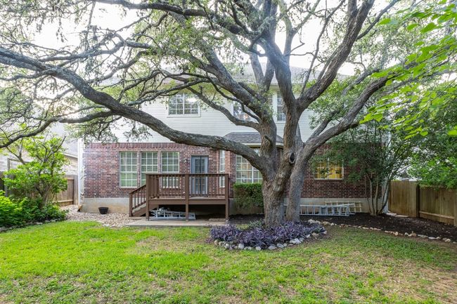 Large heritage oak tree provides plenty of shade for pets and kids. | Image 35