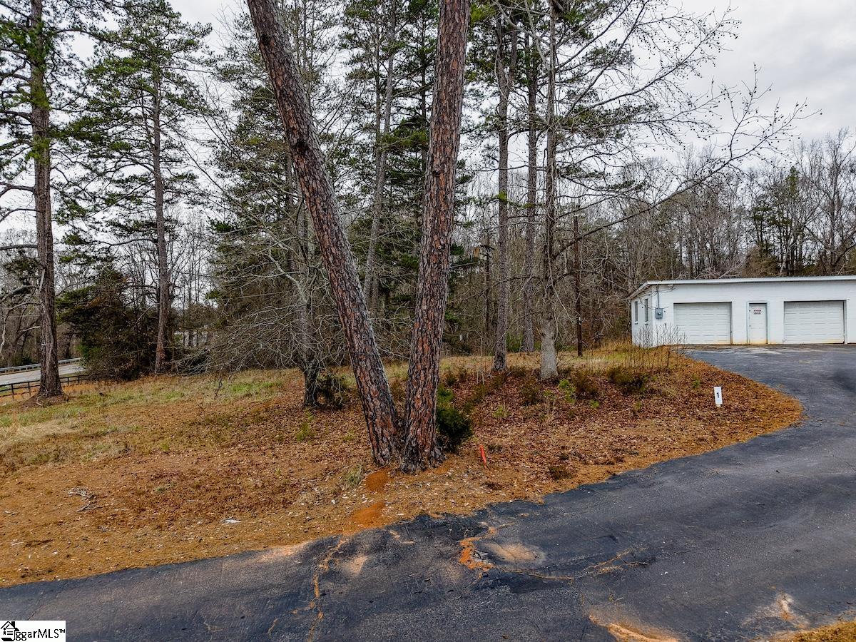 Land in Anderson 4