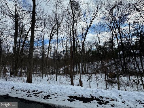 Lot 316 Sycamore Rd, MOUNT JACKSON, VA, 22842-3459 | Card Image