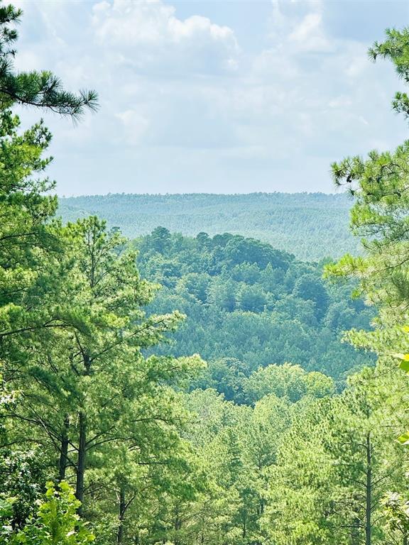 Land in Broken Bow 5