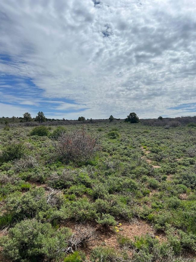 Lot 30 County Road C 3, Home with 0 bedrooms, 0 bathrooms and null parking in Dove Creek CO | Image 7